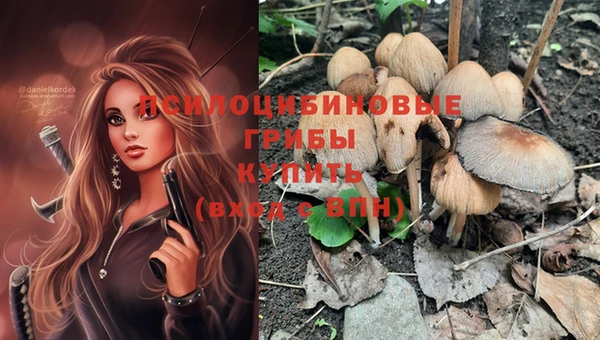 прущие крисы Аркадак