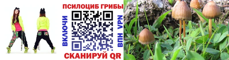 Галлюциногенные грибы Psilocybine cubensis  даркнет сайт  Мурино 